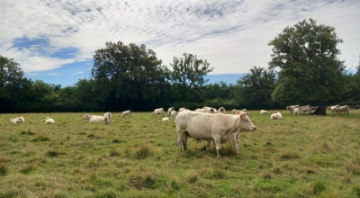 Etude réglementaire en milieu agricole